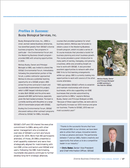 2013 SDGE Annual Report Article